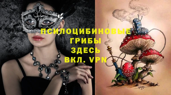 ALPHA PVP Куйбышев