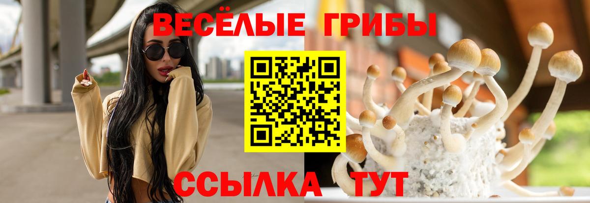 Псилоцибиновые грибы Magic Shrooms  Галлюциногенные грибы ЛСД  Вход с VPN  Ульяновск 